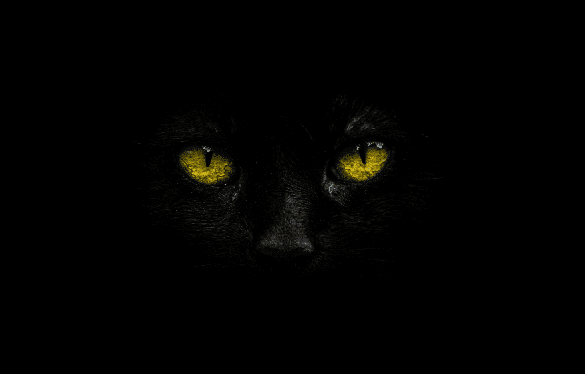 Hunting and remediating BlackCat ransomware
